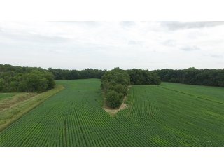 Property photo 14 - LAND AUCTION - 89.5+/- ACRES IN 3 TRACTS IN WILLIAMS COUNTY, OHIO